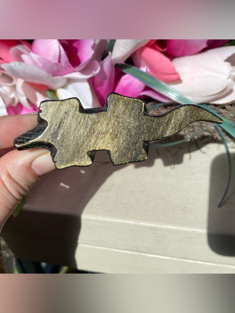 Gold Sheen Obsidian Alligator - Picture 7 of 12